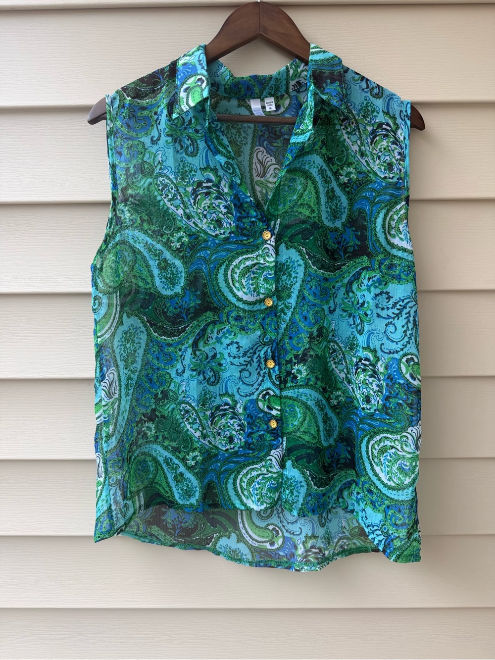 Lapis Women’s M Blue Green Paisley Sheer Sleeveless Button Front Blouse